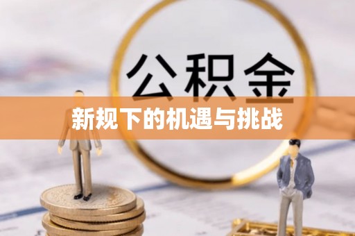 衡东新规下的机遇与挑战