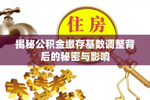 衡东揭秘公积金缴存基数调整背后的秘密与影响