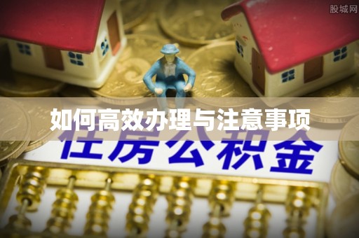 衡东如何高效办理与注意事项