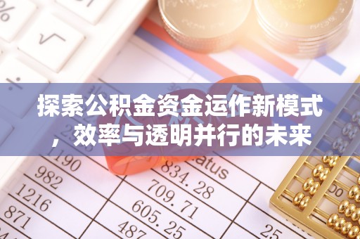 衡东探索公积金资金运作新模式，效率与透明并行的未来