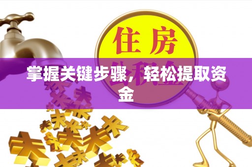 衡东掌握关键步骤，轻松提取资金