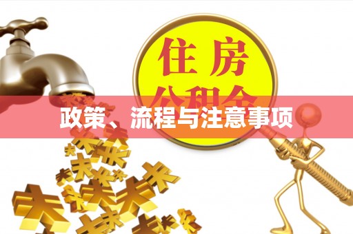 衡东政策、流程与注意事项