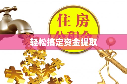 衡东轻松搞定资金提取
