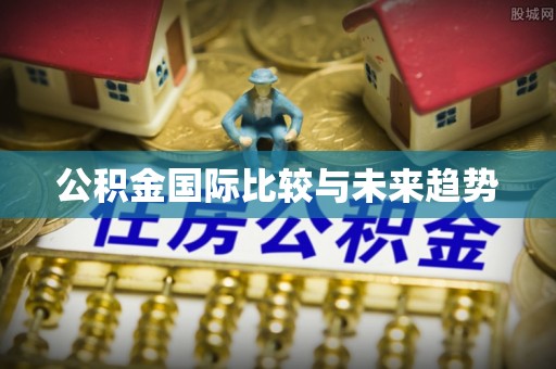 衡东公积金国际比较与未来趋势