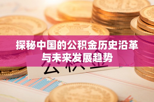 衡东探秘中国的公积金历史沿革与未来发展趋势