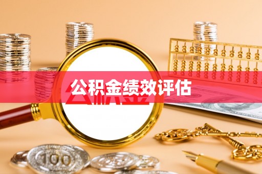 衡东公积金绩效评估