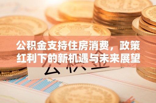 衡东公积金支持住房消费，政策红利下的新机遇与未来展望