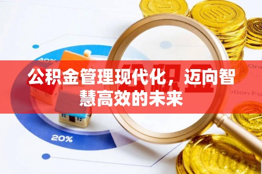 衡东公积金管理现代化，迈向智慧高效的未来