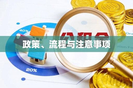衡东政策、流程与注意事项