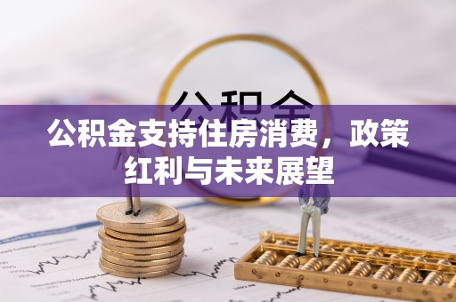 衡东公积金支持住房消费，政策红利与未来展望