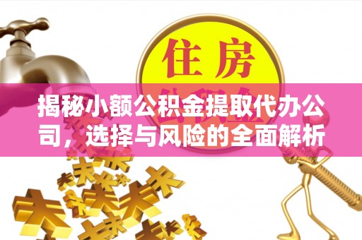 衡东揭秘小额公积金提取代办公司，选择与风险的全面解析