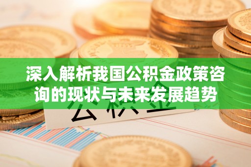 衡东深入解析我国公积金政策咨询的现状与未来发展趋势