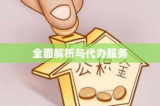 衡东全面解析与代办服务
