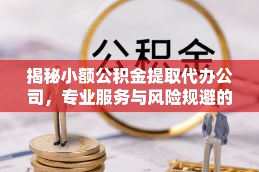衡东揭秘小额公积金提取代办公司，专业服务与风险规避的平衡艺术