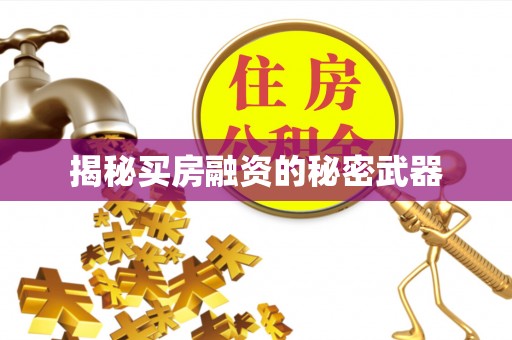 衡东揭秘买房融资的秘密武器