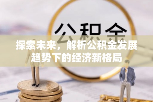 衡东探索未来，解析公积金发展趋势下的经济新格局