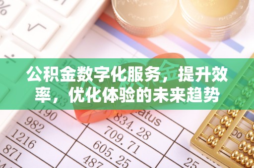 衡东公积金数字化服务，提升效率，优化体验的未来趋势