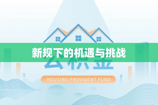 衡东新规下的机遇与挑战