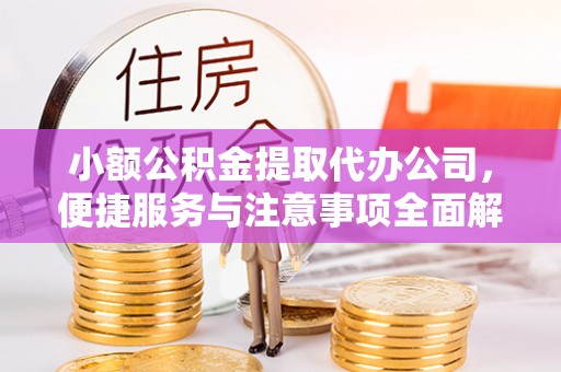 衡东小额公积金提取代办公司，便捷服务与注意事项全面解析