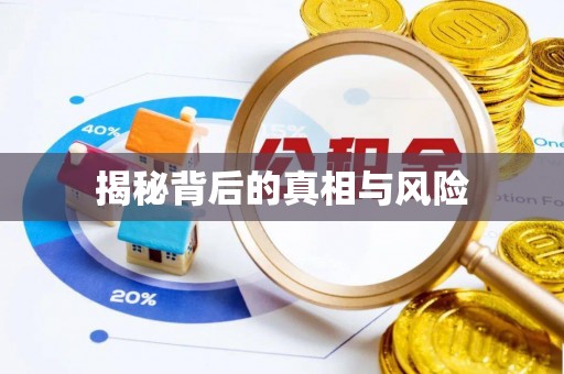 衡东揭秘背后的真相与风险
