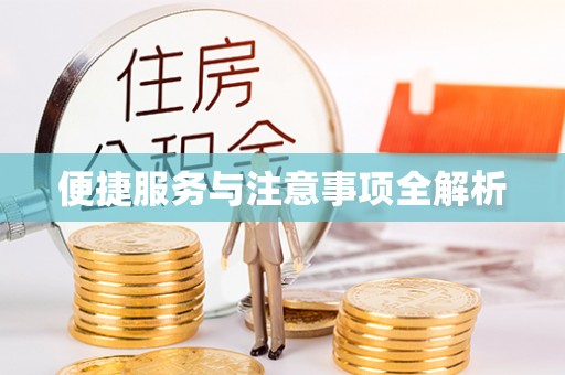 衡东便捷服务与注意事项全解析
